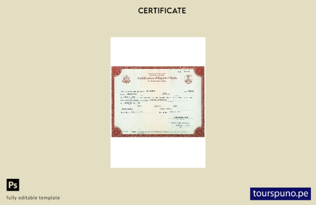 listo para imprimir plantilla de certificación de informe de nacimiento de EE. U